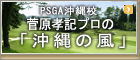 ニュージーランドの毎日