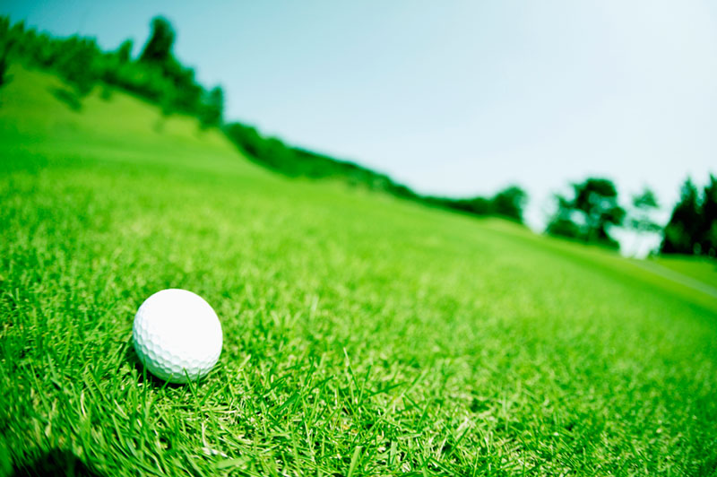 沖縄 千葉等の国内ゴルフレッスンならpsga 沖縄等の各種充実のゴルフプログラム